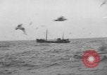 Standbild kommerzielle Fischerei United States USA, 1935, aus Sekunde 1 historischem Filmmaterial Videoclip 65675046882