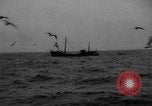 Standbild kommerzielle Fischerei United States USA, 1935, aus Sekunde 4 historischem Filmmaterial Videoclip 65675046882