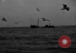 Standbild kommerzielle Fischerei United States USA, 1935, aus Sekunde 5 historischem Filmmaterial Videoclip 65675046882