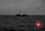 Standbild kommerzielle Fischerei United States USA, 1935, aus Sekunde 7 historischem Filmmaterial Videoclip 65675046882