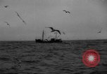 Standbild kommerzielle Fischerei United States USA, 1935, aus Sekunde 8 historischem Filmmaterial Videoclip 65675046882