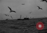 Standbild kommerzielle Fischerei United States USA, 1935, aus Sekunde 9 historischem Filmmaterial Videoclip 65675046882