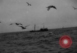 Standbild kommerzielle Fischerei United States USA, 1935, aus Sekunde 10 historischem Filmmaterial Videoclip 65675046882
