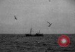 Standbild kommerzielle Fischerei United States USA, 1935, aus Sekunde 12 historischem Filmmaterial Videoclip 65675046882