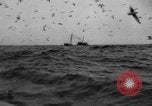 Standbild kommerzielle Fischerei United States USA, 1935, aus Sekunde 14 historischem Filmmaterial Videoclip 65675046882