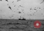 Standbild kommerzielle Fischerei United States USA, 1935, aus Sekunde 15 historischem Filmmaterial Videoclip 65675046882
