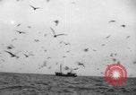 Standbild kommerzielle Fischerei United States USA, 1935, aus Sekunde 19 historischem Filmmaterial Videoclip 65675046882