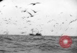 Standbild kommerzielle Fischerei United States USA, 1935, aus Sekunde 20 historischem Filmmaterial Videoclip 65675046882