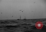 Standbild kommerzielle Fischerei United States USA, 1935, aus Sekunde 21 historischem Filmmaterial Videoclip 65675046882