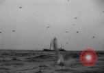 Standbild kommerzielle Fischerei United States USA, 1935, aus Sekunde 22 historischem Filmmaterial Videoclip 65675046882