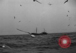 Standbild kommerzielle Fischerei United States USA, 1935, aus Sekunde 23 historischem Filmmaterial Videoclip 65675046882