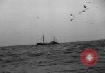 Standbild kommerzielle Fischerei United States USA, 1935, aus Sekunde 24 historischem Filmmaterial Videoclip 65675046882