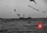 Standbild kommerzielle Fischerei United States USA, 1935, aus Sekunde 26 historischem Filmmaterial Videoclip 65675046882