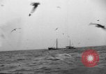 Standbild kommerzielle Fischerei United States USA, 1935, aus Sekunde 30 historischem Filmmaterial Videoclip 65675046882