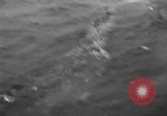 Standbild kommerzielle Fischerei United States USA, 1935, aus Sekunde 35 historischem Filmmaterial Videoclip 65675046882