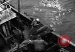Standbild kommerzielle Fischerei United States USA, 1935, aus Sekunde 36 historischem Filmmaterial Videoclip 65675046882