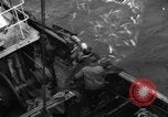 Standbild kommerzielle Fischerei United States USA, 1935, aus Sekunde 37 historischem Filmmaterial Videoclip 65675046882