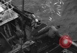 Standbild kommerzielle Fischerei United States USA, 1935, aus Sekunde 38 historischem Filmmaterial Videoclip 65675046882