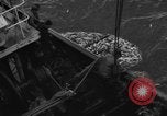 Standbild kommerzielle Fischerei United States USA, 1935, aus Sekunde 45 historischem Filmmaterial Videoclip 65675046882