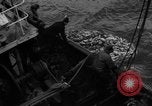 Standbild kommerzielle Fischerei United States USA, 1935, aus Sekunde 46 historischem Filmmaterial Videoclip 65675046882