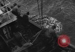 Standbild kommerzielle Fischerei United States USA, 1935, aus Sekunde 48 historischem Filmmaterial Videoclip 65675046882