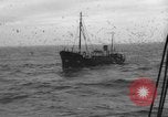 Standbild kommerzielle Fischerei United States USA, 1935, aus Sekunde 52 historischem Filmmaterial Videoclip 65675046882