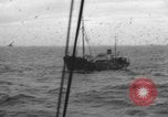 Standbild kommerzielle Fischerei United States USA, 1935, aus Sekunde 53 historischem Filmmaterial Videoclip 65675046882