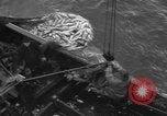 Standbild kommerzielle Fischerei United States USA, 1935, aus Sekunde 55 historischem Filmmaterial Videoclip 65675046882