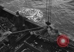 Standbild kommerzielle Fischerei United States USA, 1935, aus Sekunde 56 historischem Filmmaterial Videoclip 65675046882