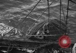 Standbild kommerzielle Fischerei United States USA, 1935, aus Sekunde 58 historischem Filmmaterial Videoclip 65675046882