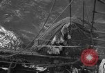 Standbild kommerzielle Fischerei United States USA, 1935, aus Sekunde 61 historischem Filmmaterial Videoclip 65675046882