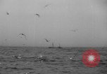 Standbild Fischerei Schiff United States USA, 1935, aus Sekunde 51 historischem Filmmaterial Videoclip 65675046883