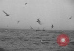 Standbild Fischerei Schiff United States USA, 1935, aus Sekunde 52 historischem Filmmaterial Videoclip 65675046883