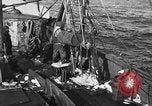 Image bateau de pêche au travail Atlantic Ocean Massachusetts United States USA, 1935, de la seconde 7 séquences d'archives historiques vidéo 65675046885