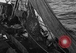 Image bateau de pêche au travail Atlantic Ocean Massachusetts United States USA, 1935, de la seconde 19 séquences d'archives historiques vidéo 65675046885