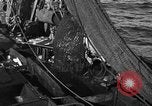 Image bateau de pêche au travail Atlantic Ocean Massachusetts United States USA, 1935, de la seconde 31 séquences d'archives historiques vidéo 65675046885