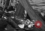 Image bateau de pêche au travail Atlantic Ocean Massachusetts United States USA, 1935, de la seconde 33 séquences d'archives historiques vidéo 65675046885