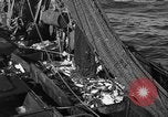 Image bateau de pêche au travail Atlantic Ocean Massachusetts United States USA, 1935, de la seconde 37 séquences d'archives historiques vidéo 65675046885
