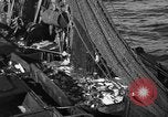 Image bateau de pêche au travail Atlantic Ocean Massachusetts United States USA, 1935, de la seconde 38 séquences d'archives historiques vidéo 65675046885