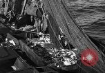 Image bateau de pêche au travail Atlantic Ocean Massachusetts United States USA, 1935, de la seconde 39 séquences d'archives historiques vidéo 65675046885