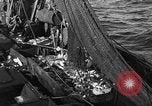 Image bateau de pêche au travail Atlantic Ocean Massachusetts United States USA, 1935, de la seconde 41 séquences d'archives historiques vidéo 65675046885