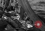 Image bateau de pêche au travail Atlantic Ocean Massachusetts United States USA, 1935, de la seconde 42 séquences d'archives historiques vidéo 65675046885