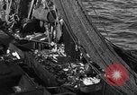 Image bateau de pêche au travail Atlantic Ocean Massachusetts United States USA, 1935, de la seconde 43 séquences d'archives historiques vidéo 65675046885