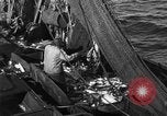 Image bateau de pêche au travail Atlantic Ocean Massachusetts United States USA, 1935, de la seconde 47 séquences d'archives historiques vidéo 65675046885