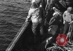 Immagine di Operazioni commerciali di pesca Massachusetts USA, 1935, secondo 17 filmato di repertorio 65675046886