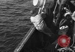 Immagine di Operazioni commerciali di pesca Massachusetts USA, 1935, secondo 19 filmato di repertorio 65675046886