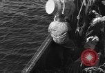 Immagine di Operazioni commerciali di pesca Massachusetts USA, 1935, secondo 20 filmato di repertorio 65675046886