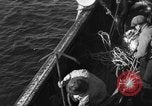 Immagine di Operazioni commerciali di pesca Massachusetts USA, 1935, secondo 23 filmato di repertorio 65675046886