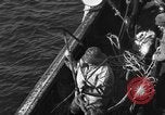 Immagine di Operazioni commerciali di pesca Massachusetts USA, 1935, secondo 24 filmato di repertorio 65675046886