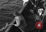 Immagine di Operazioni commerciali di pesca Massachusetts USA, 1935, secondo 26 filmato di repertorio 65675046886